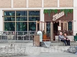 Picture of The Botanist