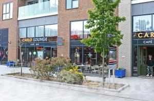Picture of Carlo Lounge
