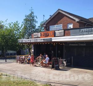 Picture of Buffalo Bar