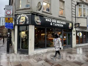 Picture of Mad Dog Brewery & Taproom
