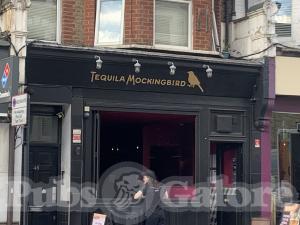 Picture of Tequila Mockingbird