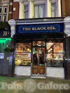 Picture of The Black Eel