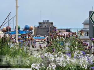Picture of Rum Shed Hastings Pier