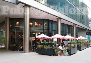 Picture of Paradise Green
