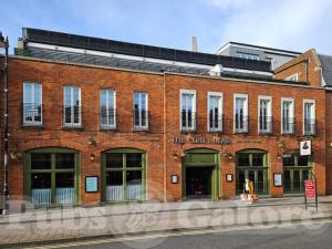 Picture of The Coat & Bear