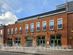 Picture of The Coat & Bear