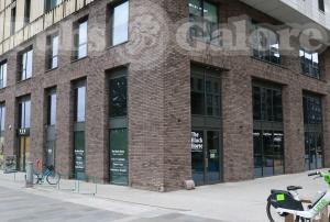 Picture of The Black Horse