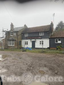 Picture of The Old Fox