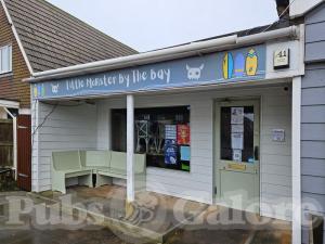Picture of Little Monster By the Bay