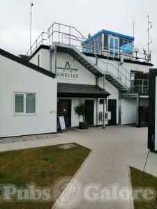 Picture of Amelia's