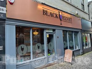 Picture of Black Velvet