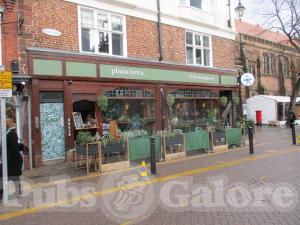 Picture of Planaterra