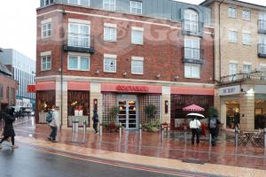 Picture of Cosy Club