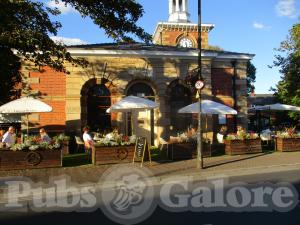 Picture of Savannah's