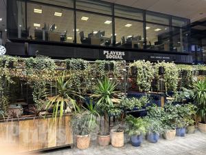 Picture of Players Social