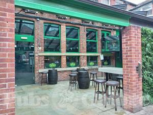 Picture of The Irish