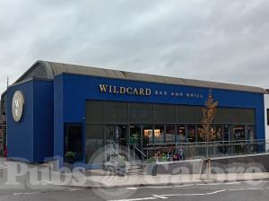 Picture of Wildcard