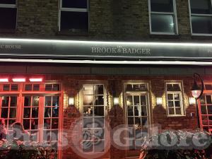 Picture of Brook & Badger