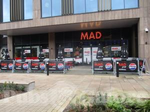 Picture of The Mad Giant