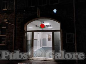 Picture of The Red Rose
