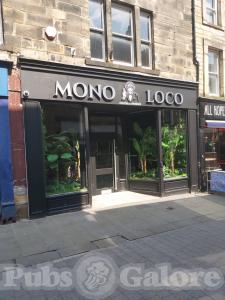 Picture of Mono Loco