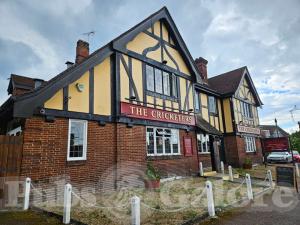 Picture of The Cricketers
