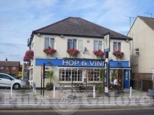 Picture of Hop and Vine
