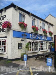Picture of Hop and Vine