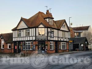 Picture of White Horse