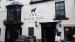 Picture of The Black Dog