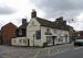 Picture of The White Horse