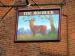 Picture of The Roebuck