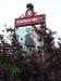 Picture of The Round Bush