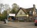 Picture of The Golden Lion