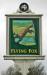 Flying Fox picture