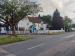 Picture of Old Vine