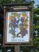 Picture of Old Vine