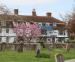 Picture of The New Inn