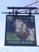 Picture of White Horse