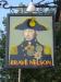 Picture of The Brave Nelson