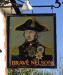 Picture of The Brave Nelson