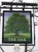 Picture of The Bonnie Blue Oak
