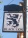 Picture of The Black Lion