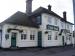 Picture of The Oak