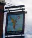 Picture of The Sandmartin