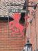 Picture of Red Lion
