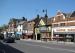 Picture of Royal Oak