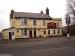 Picture of White Horse