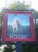 Picture of White Horse