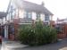 Picture of The Elms (JD Wetherspoon)